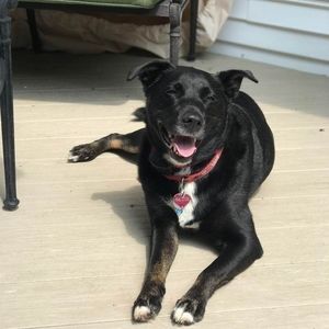 Meet your Posher, Ellen